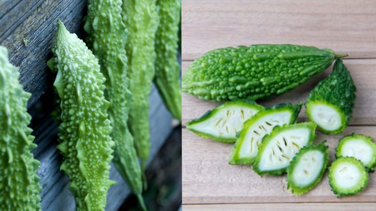Bitter Gourd : కాకరకాయ చేదుని ఎలా తగ్గించొచ్చో తెలుసా??