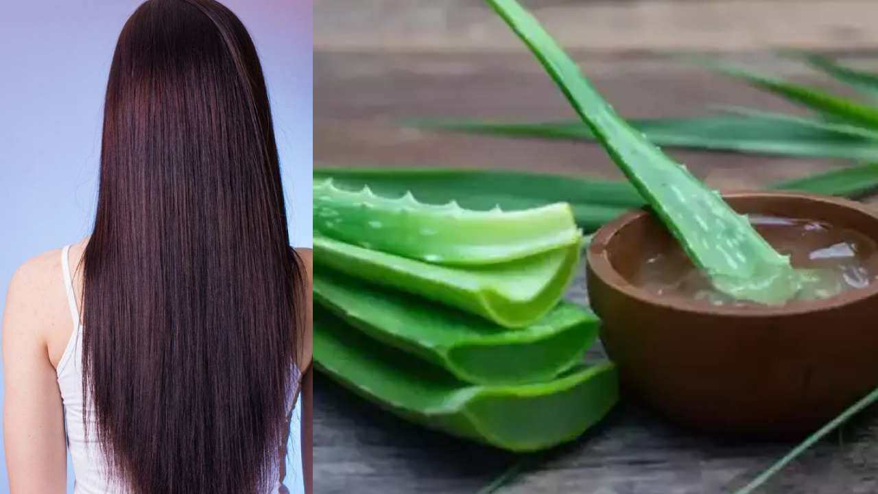 Aloe Vera : జుట్టు బాగా పెరగాలి అనుకుంటున్నారా ? అయితే కలబందని ఇలా వాడాల్సిందే..