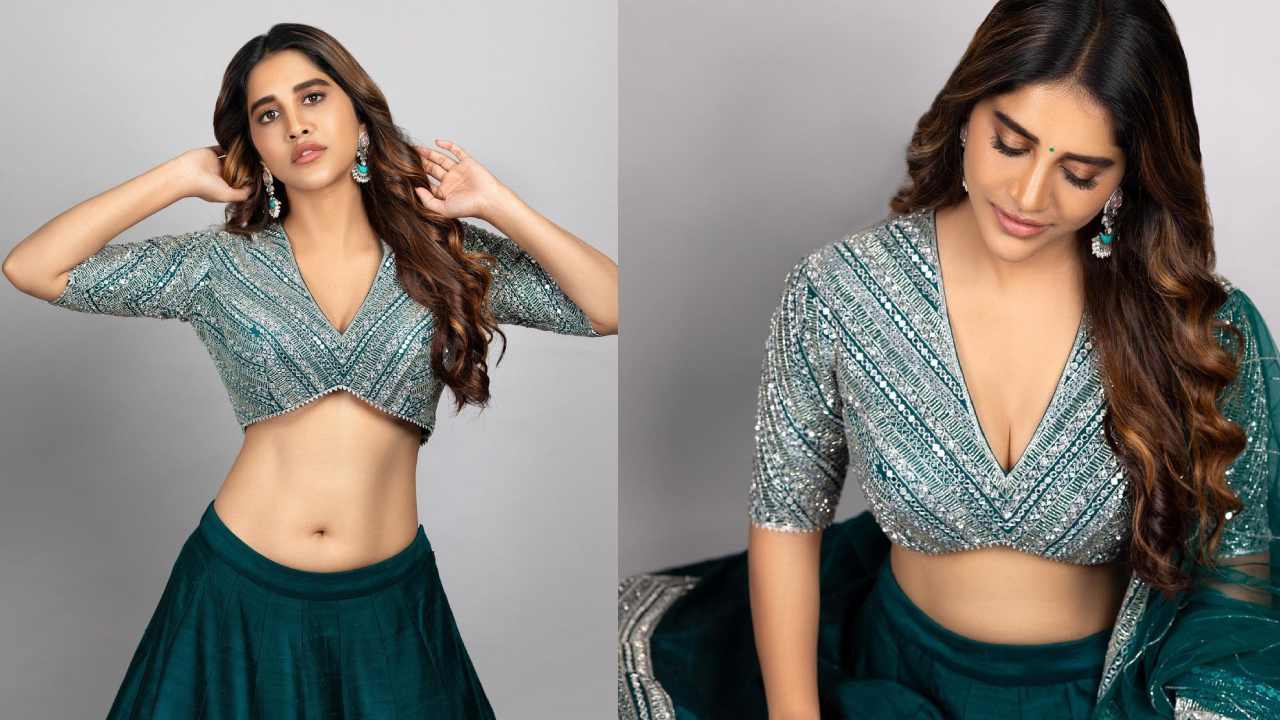 Nabha Natesh : నడుము అందాలు చూపిస్తూ నవ్వేస్తున్న నభా నటేష్