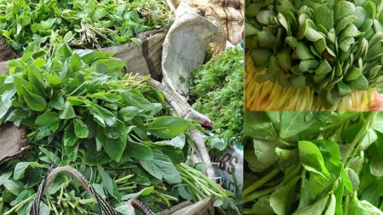 Leafy Vegetables : ఆకుకూరలు తినడం వలన చాలా ప్రయోజనాలు.. చలికాలం అయితే ఇంకా ఎక్కువ..