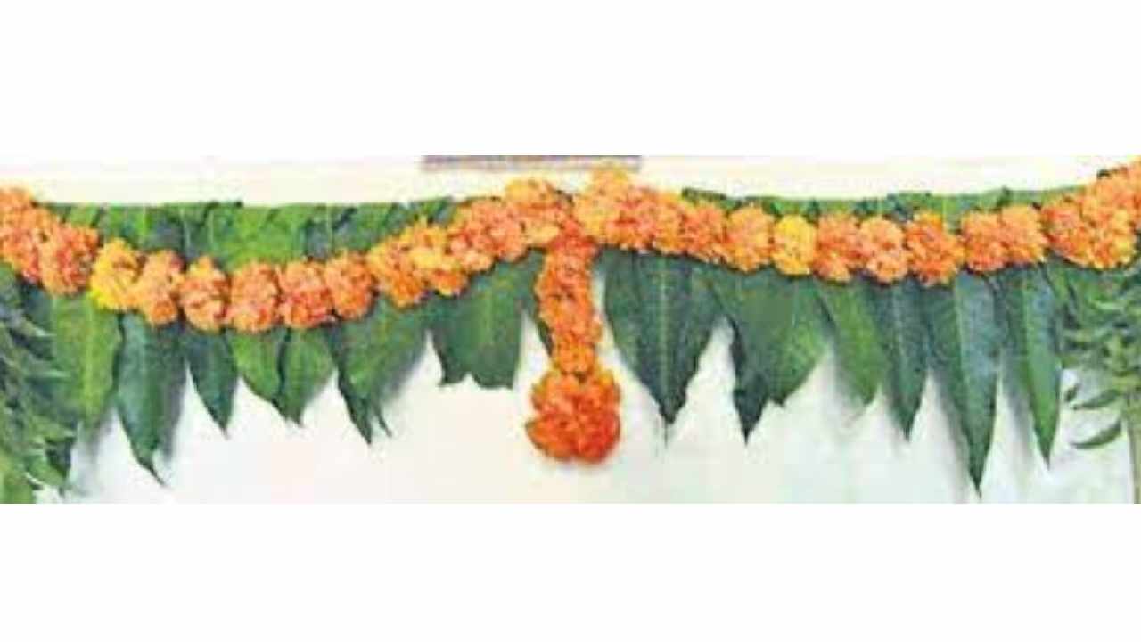 Benefits Mango leaves: శుభకార్యాలలో ఇంటి గుమ్మానికి మామిడాకులు ఎందుకు కడతారో తెలుసా…?
