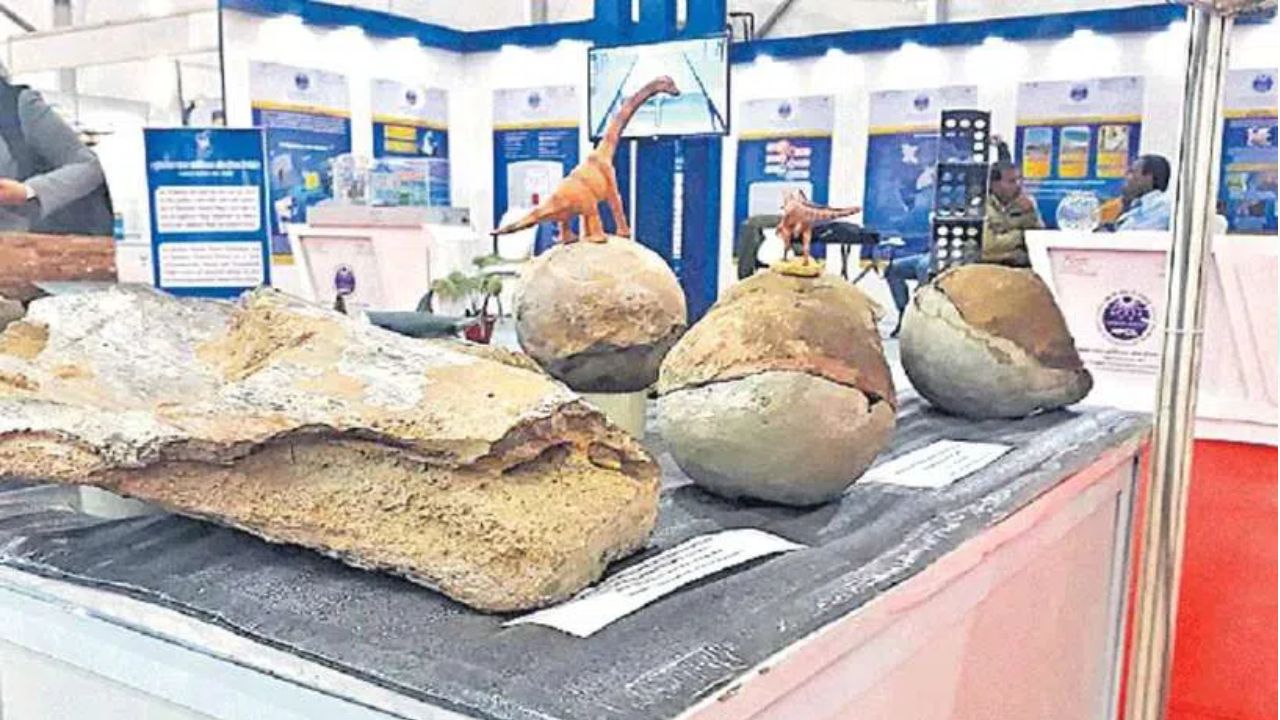 Dinosaur Nests: నర్మదా నదిలో దొరికిన 256 డైనోసార్ గుడ్లు.. శాస్త్రవేత్తలు ఏమన్నారంటే?
