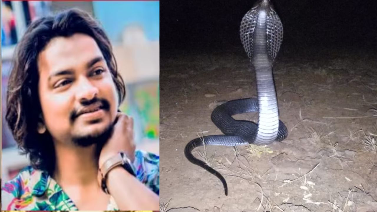Nellore: యువకుడి సెల్ఫీ సరదా.. తాచుపాము మెడలో వేసుకుంటే ఊరికే ఉంటుందా?