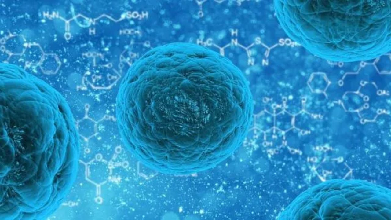 Norovirus: కేరళలో నోరా వైరస్ కలకలం.. స్కూల్స్ బంద్.. తల్లిదండ్రులకు టెస్టులు!
