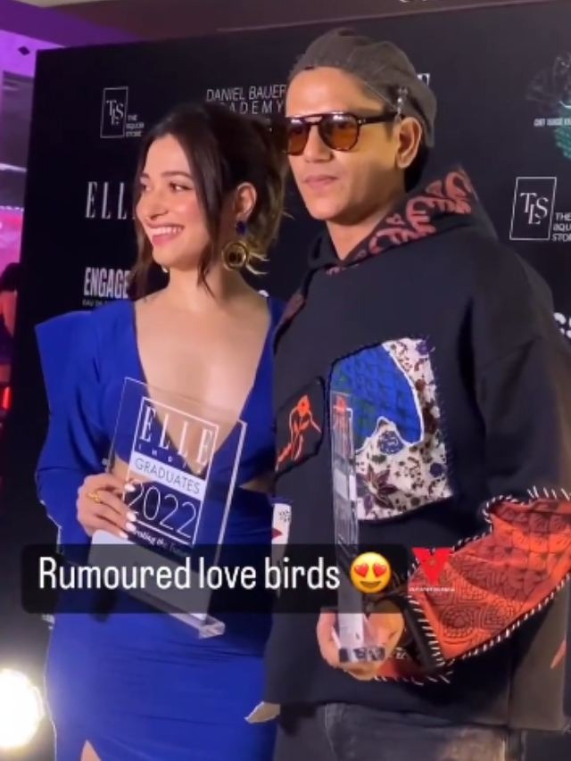 Is Tamannaah really in love with that actor?