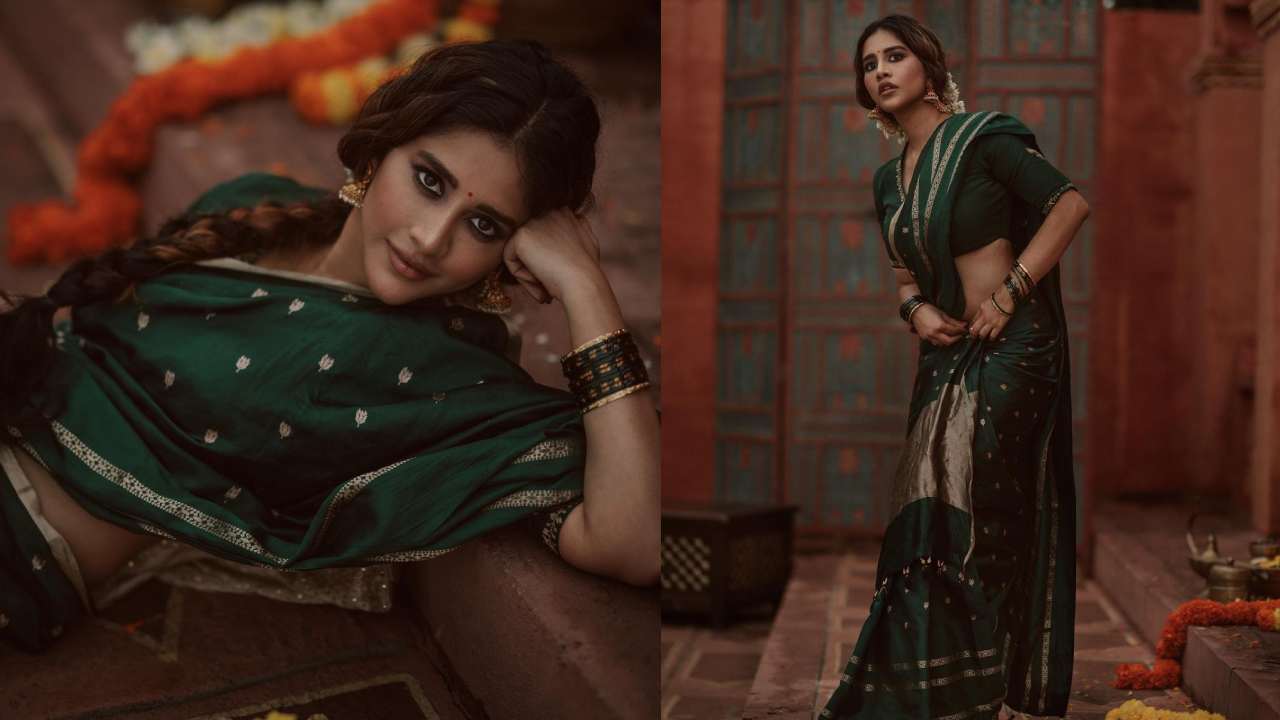 Nabha Natesh : పండగవేళ చీరలో పరువాలు పరుస్తున్న నభా నటేష్..