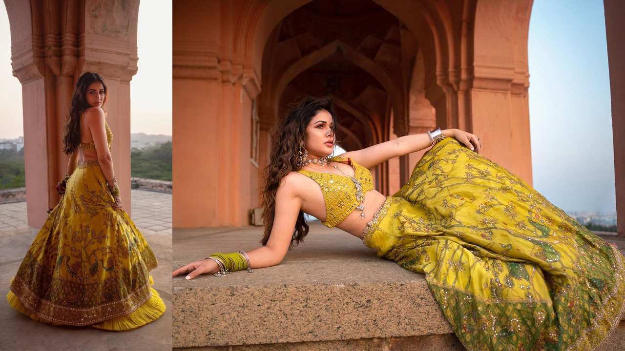 Lavanya Tripathi : అందాల రాక్షసి లావణ్య అంతపుర అందాలు..