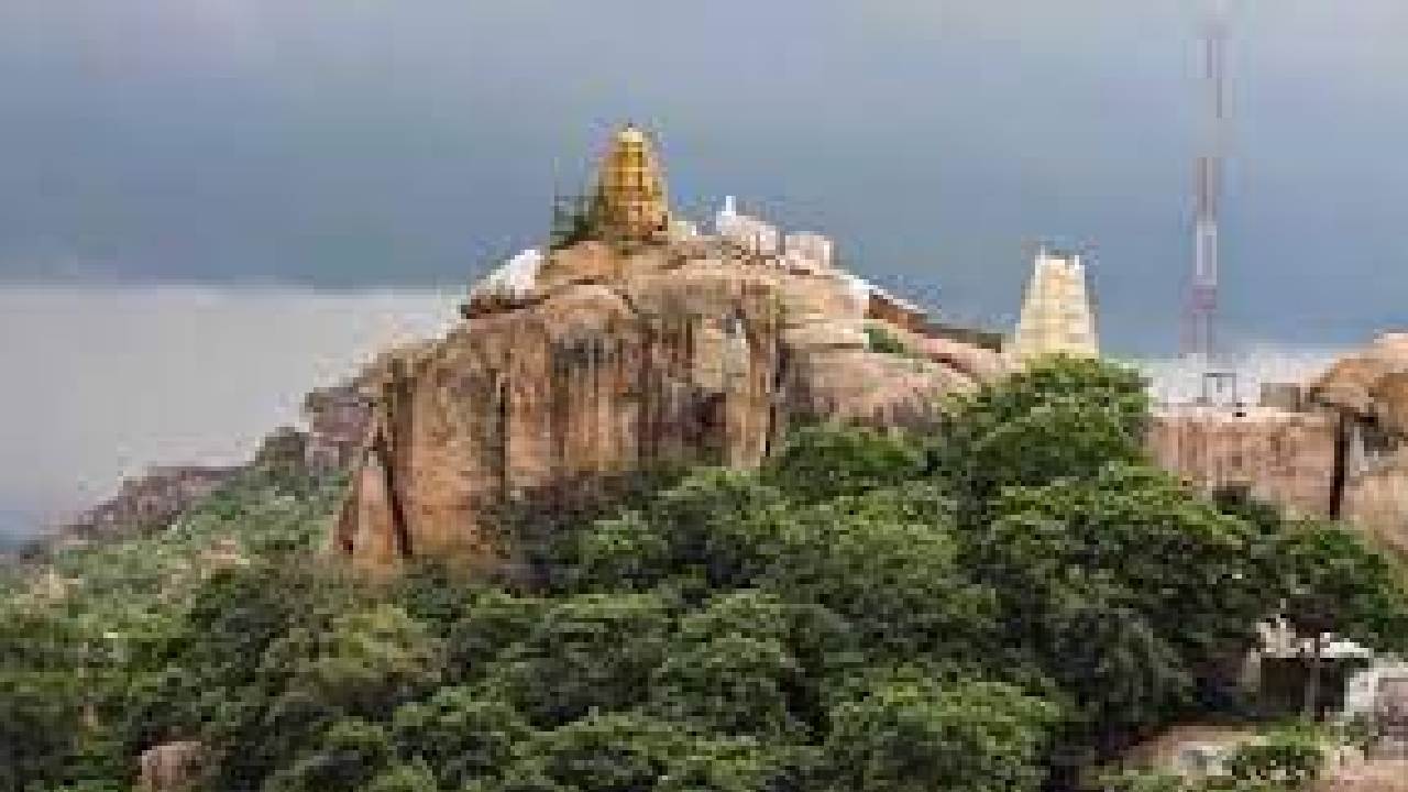 Manyamkonda Jathara: పేదల తిరుపతిగా ప్రసిద్ధి చెందిన మన్యంకొండ జాతర ప్రారంభం…! ప్రత్యేకతలు ఏంటో తెలుసా?