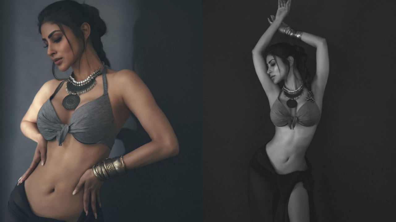Mouni Roy : నాగిని నాజూకు నడుము అందాలు..