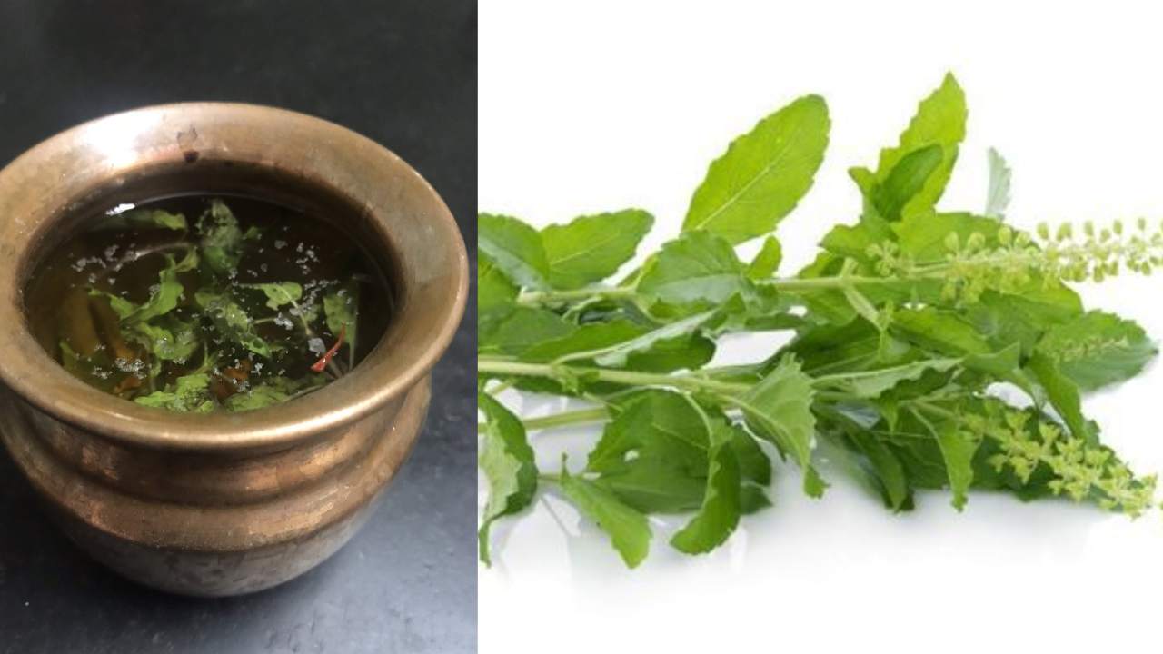 Tulasi Leaves : తులసి ఆకులను తినొచ్చు కూడా.. ఎన్ని ప్రయోజనాలు ఉన్నాయో తెలుసా?
