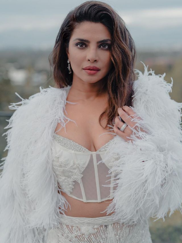 Priyanka Chopra said RRR is a Tamil Film in American Interview..