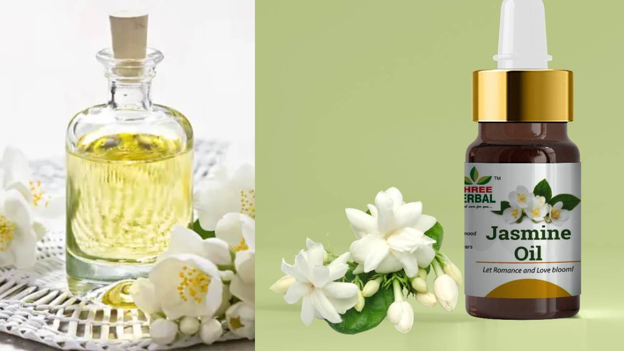 Jasmine Oil : మల్లెపూల ఆయిల్ ఉందని తెలుసా? జాస్మిన్ ఆయిల్ వల్ల బోలెడన్ని ప్రయోజనాలు..