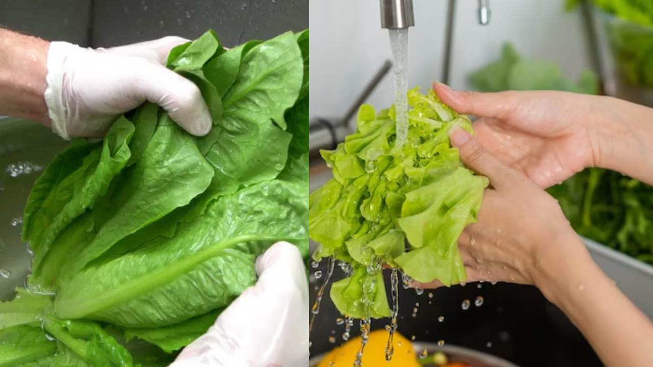 Leafy Vegetables : వండేముందు ఆకుకూరలను శుభ్రం చేస్తున్నారా.. లేకపోతే..
